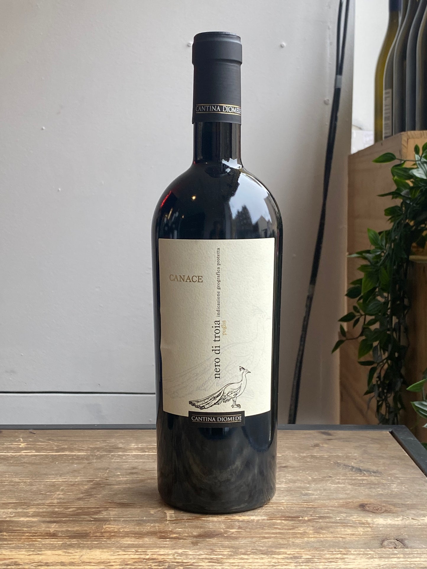 Cantina Diomede Canace Nero di Troia at The Beerhive, Edinburgh. Free UK shipping.