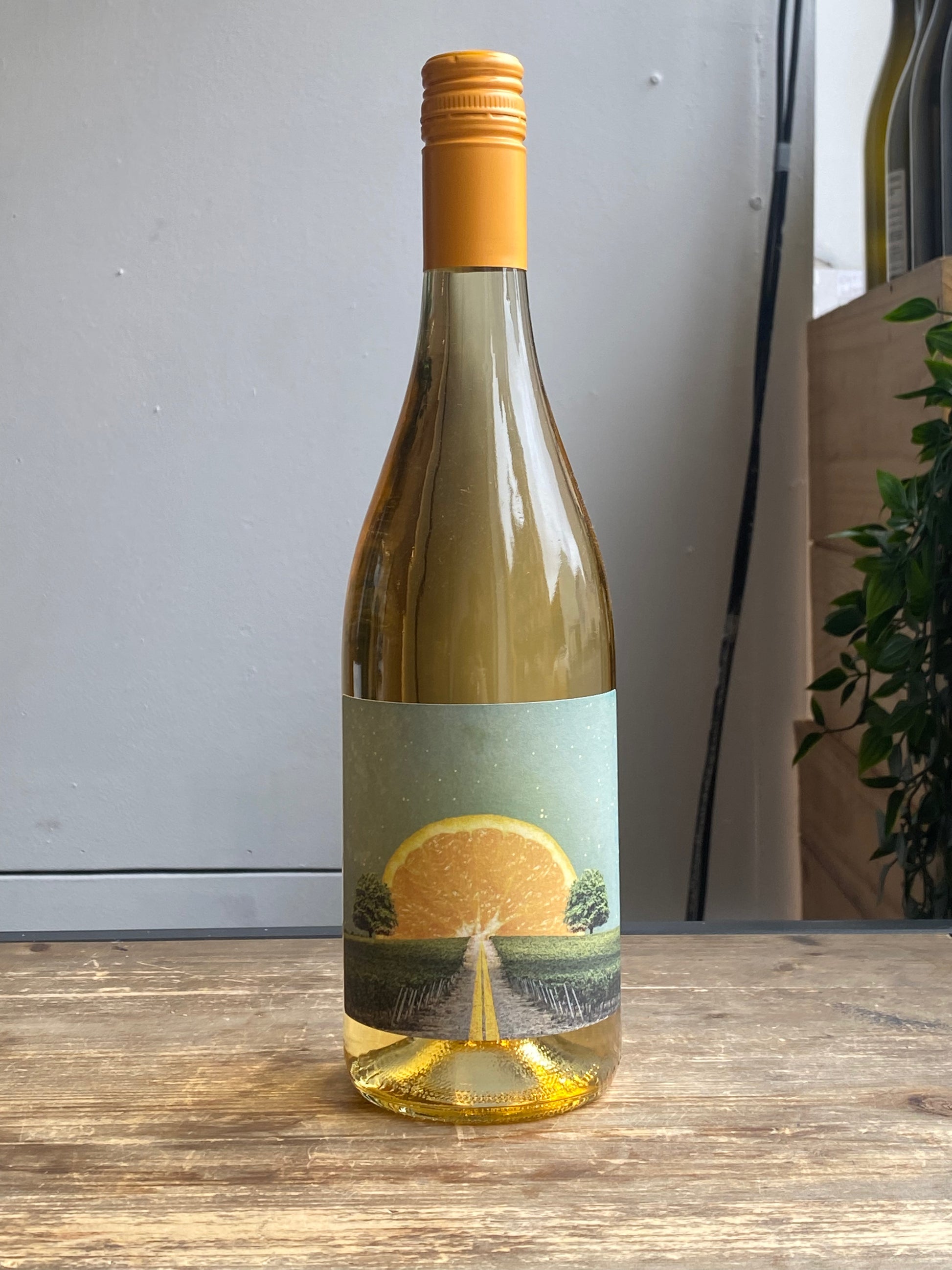 Solara Orange Wine at The Beerhive, Edinburgh. Free UK shipping.