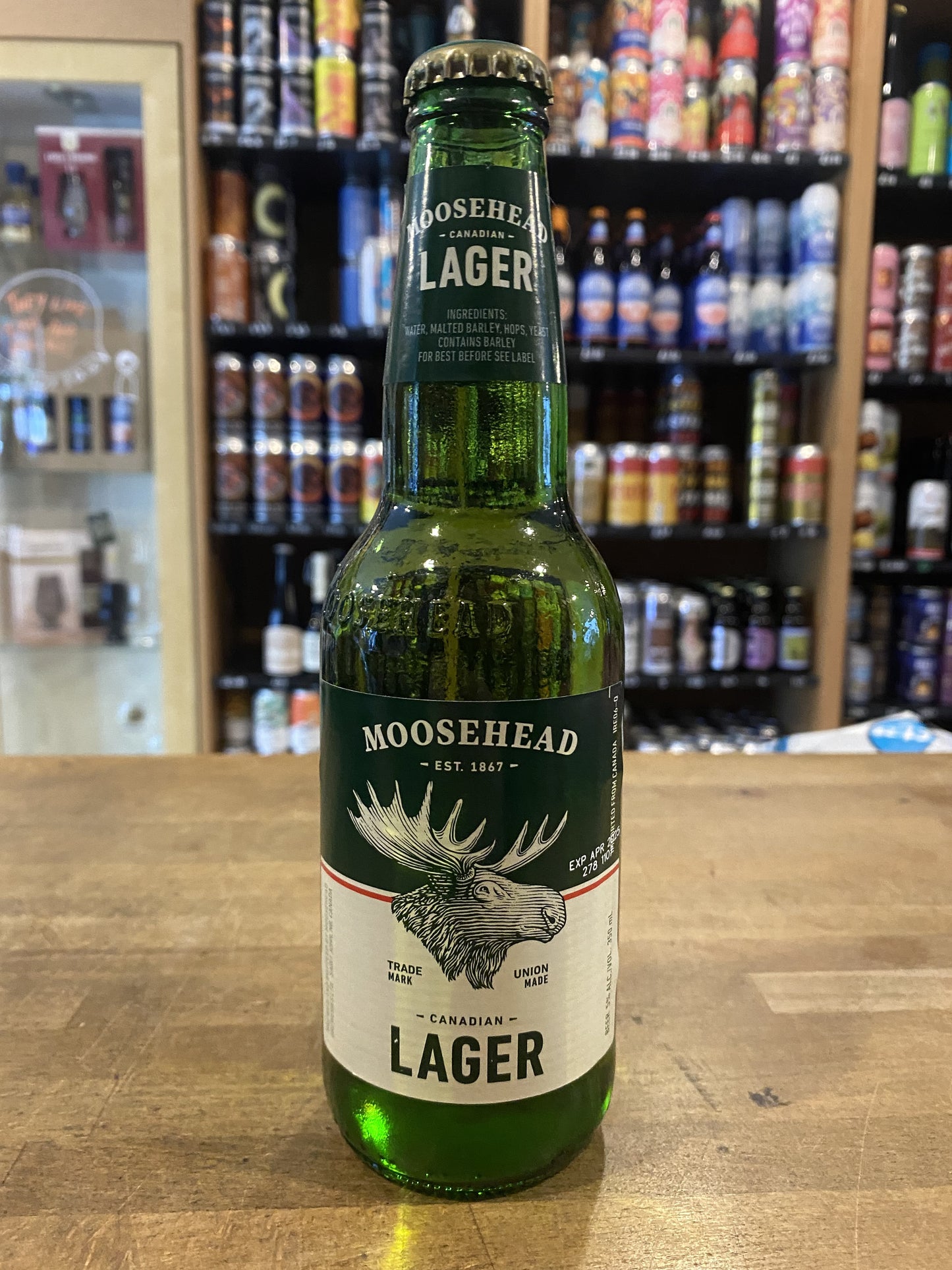 Moosehead Lager at The Beerhive, Edinburgh. Free UK shipping.