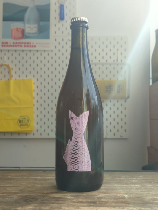 Fin Cider Ride On Bbay at The Beerhive, Edinburgh. Free UK shipping.