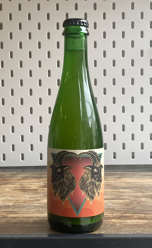 Holy Goat Solar Tomb Sour at The Beerhive, Edinburgh. Free UK shipping.