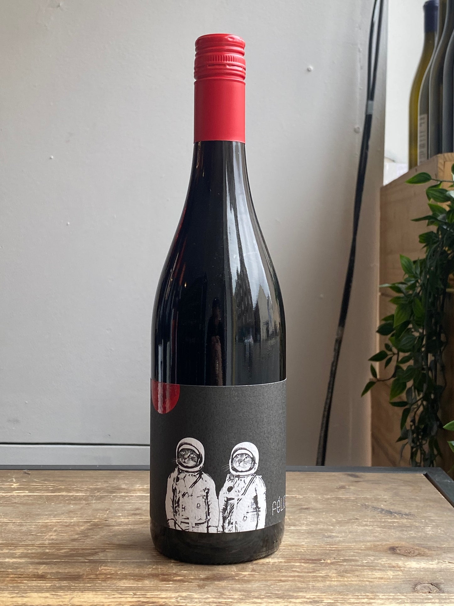 Felicette Grenache Noir