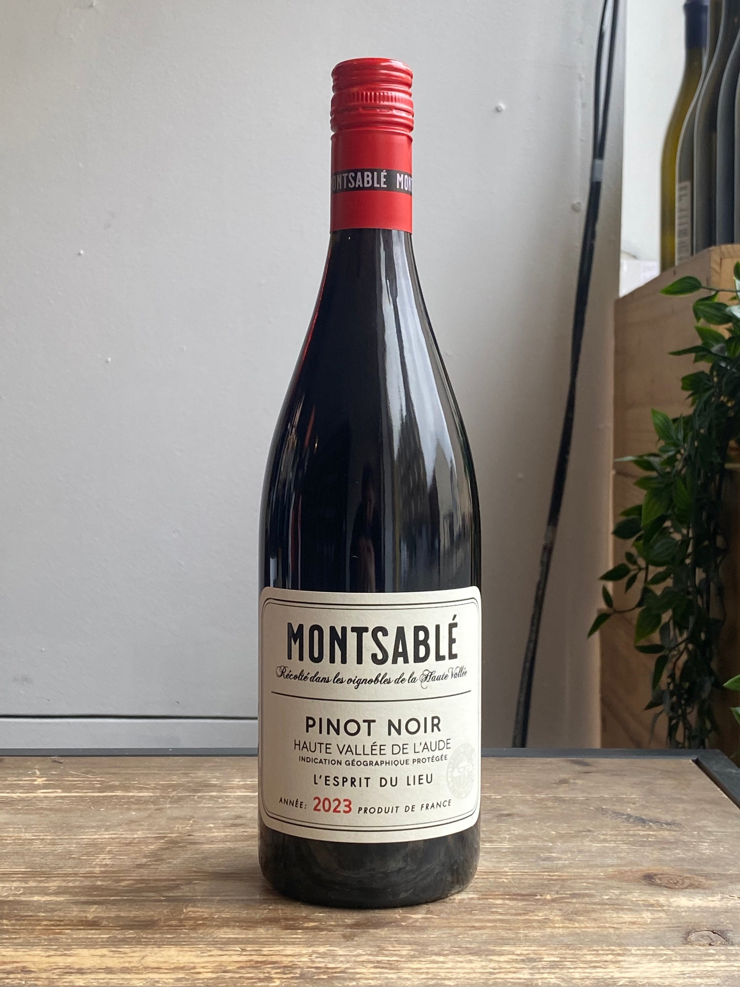 Montsable Pinot Noir