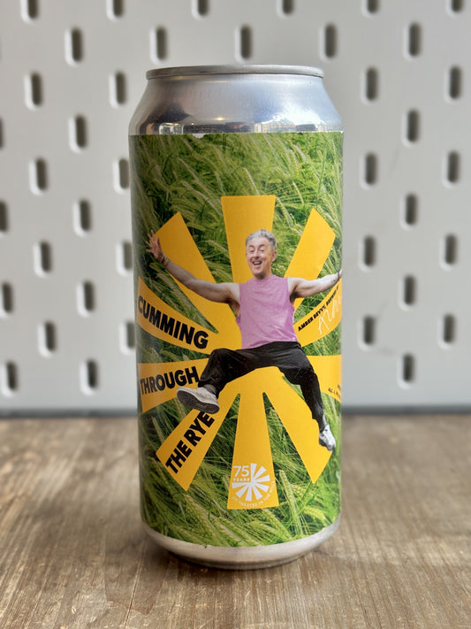 Wasted Degrees Cumming Through the Rye at The Beerhive, Edinburgh. Free UK shipping.