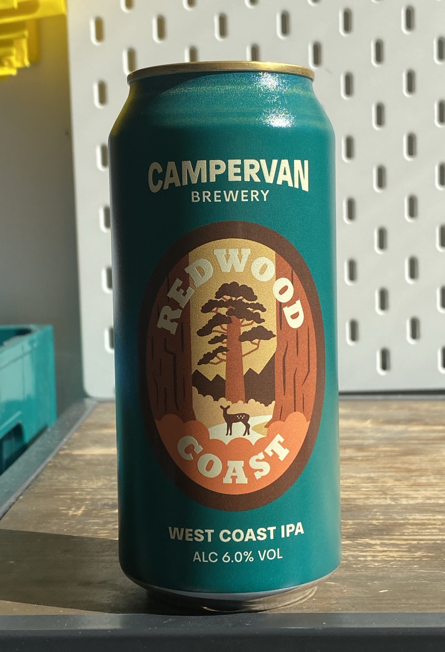 Campervan Redwood Coast WCIPA