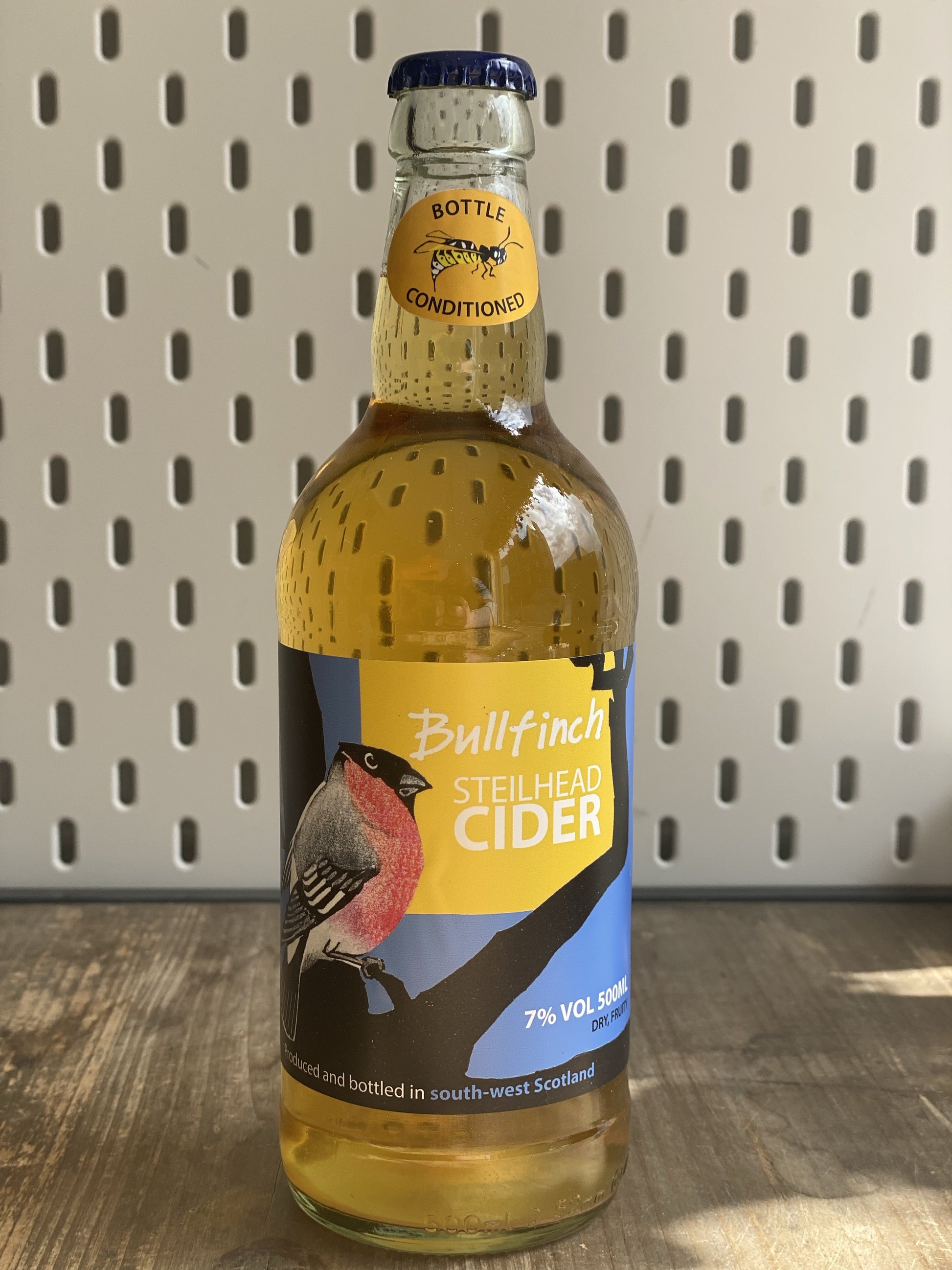 Steilhead Bullfinch at The Beerhive, Edinburgh. Free UK shipping.