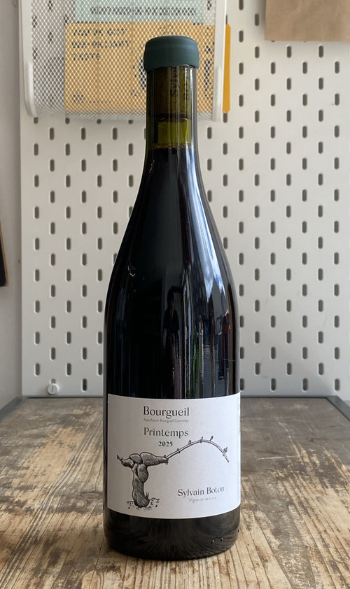 Sylvain Boton Bourgueil Printemps Cabernet Franc
